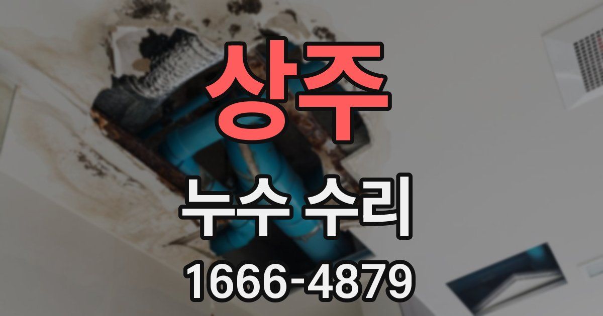 상주 누수 수리