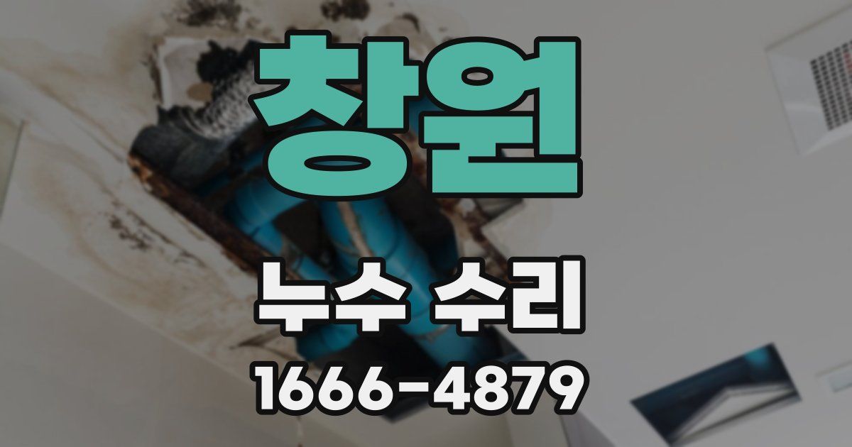 창원 누수 수리