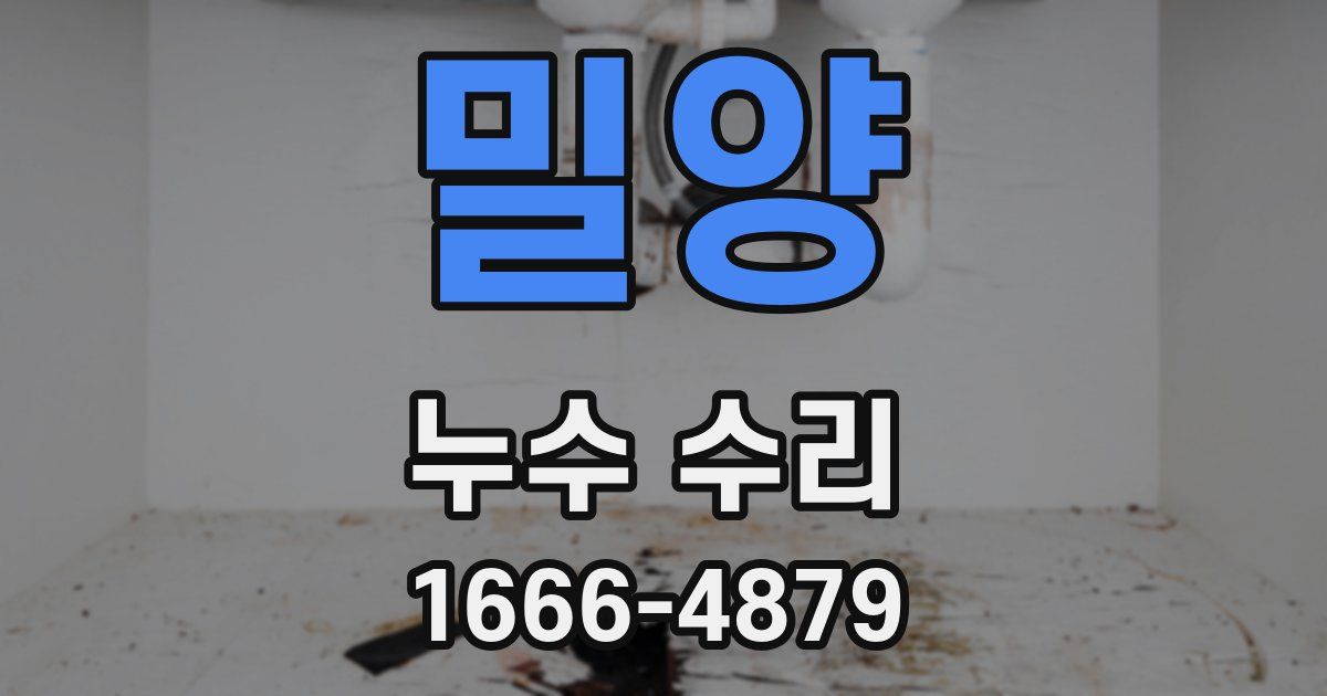 밀양 누수 수리