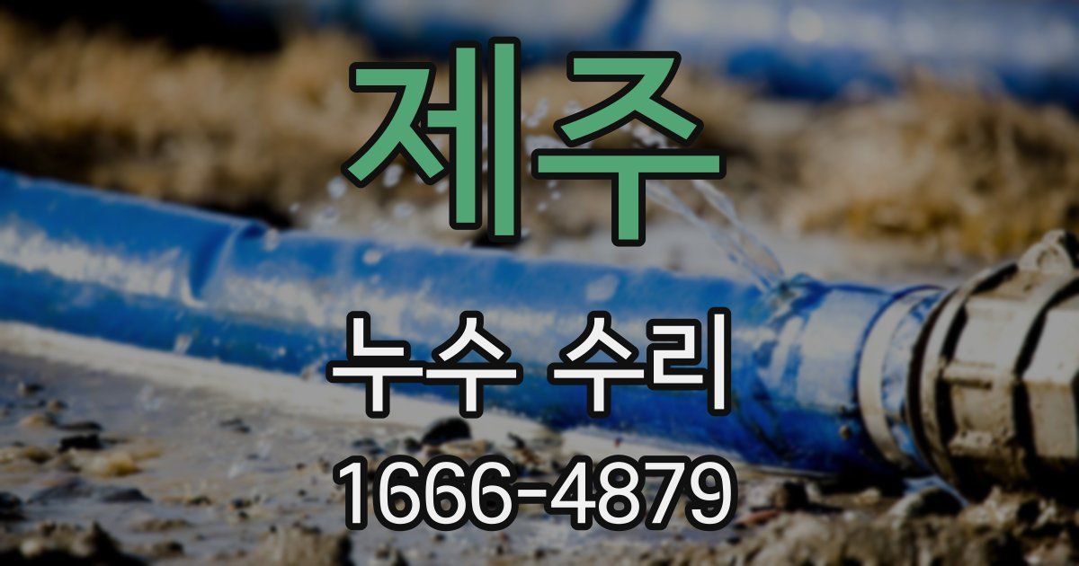 제주 누수 수리