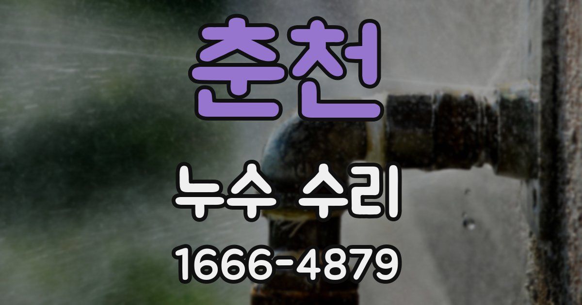 춘천 누수 수리