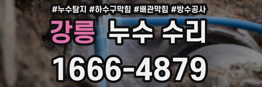 강릉 누수 수리