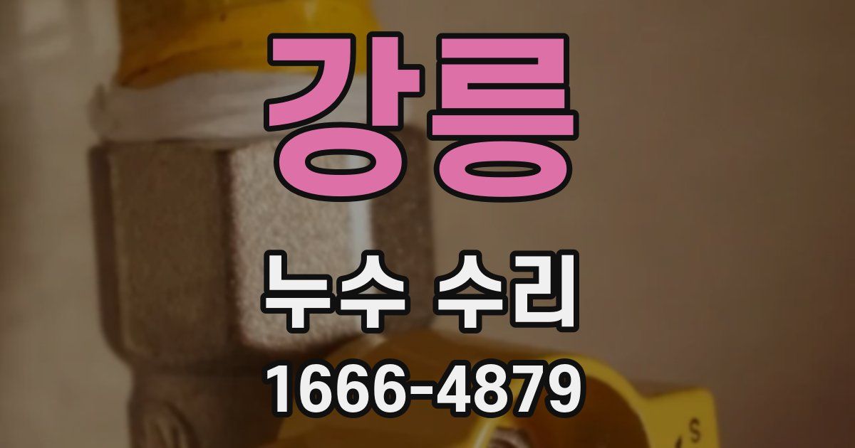 강릉 누수 수리