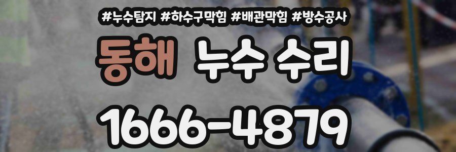동해 누수 수리