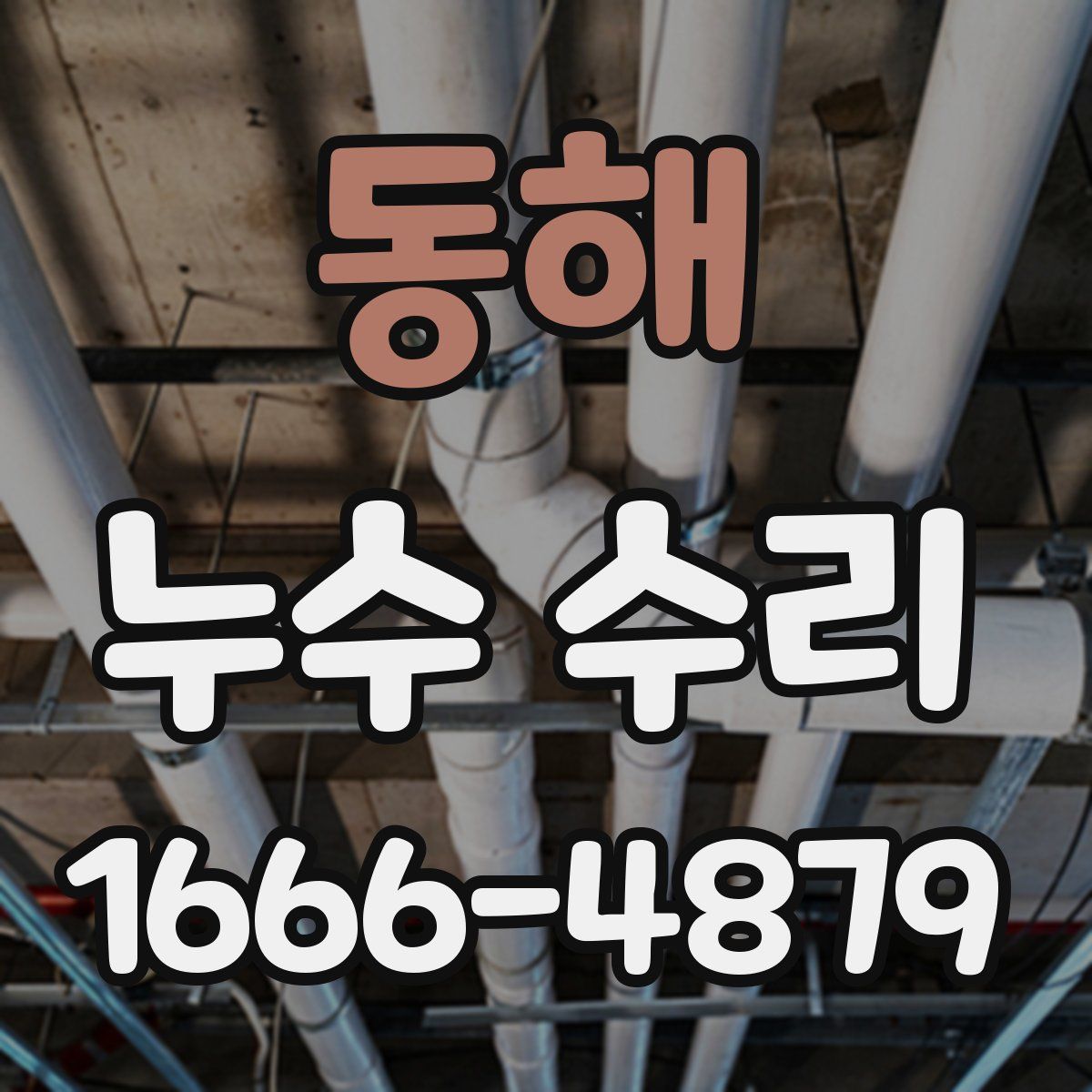 동해 누수 수리