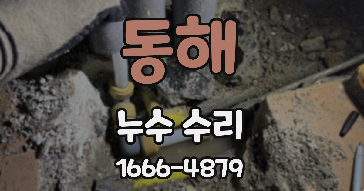 동해 누수 수리