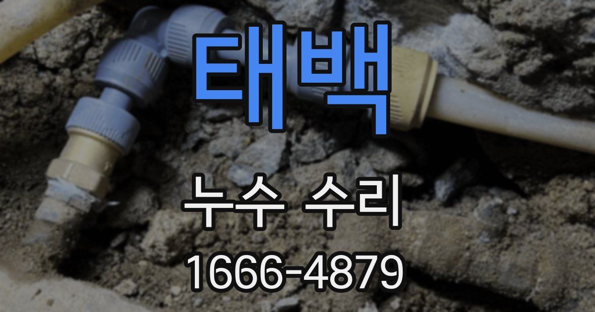 태백 누수 수리