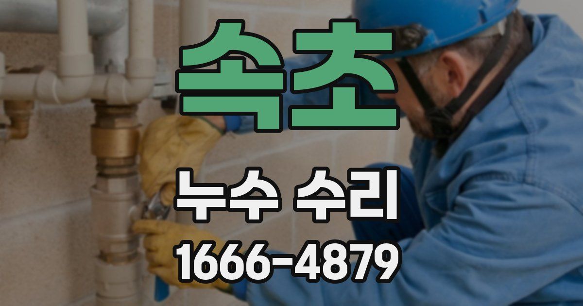 속초 누수 수리