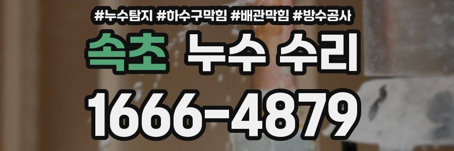 속초 누수 수리