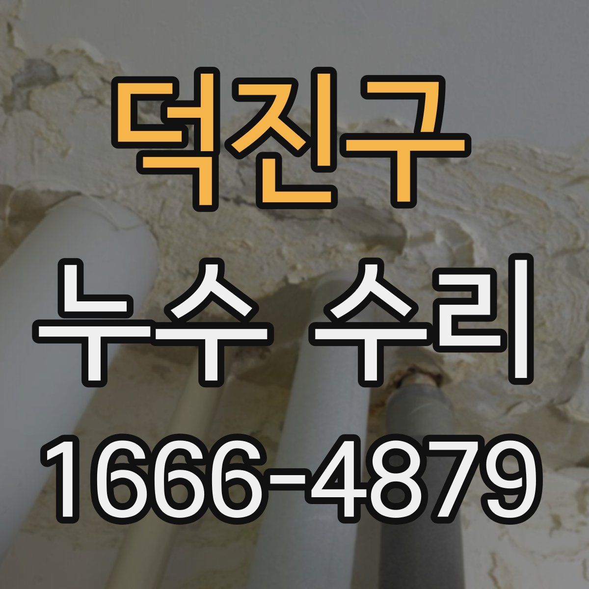 덕진구 누수 수리