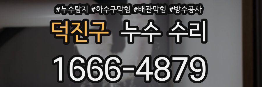 덕진구 누수 수리
