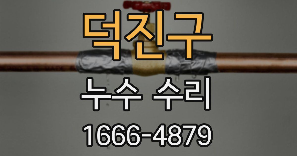 덕진구 누수 수리