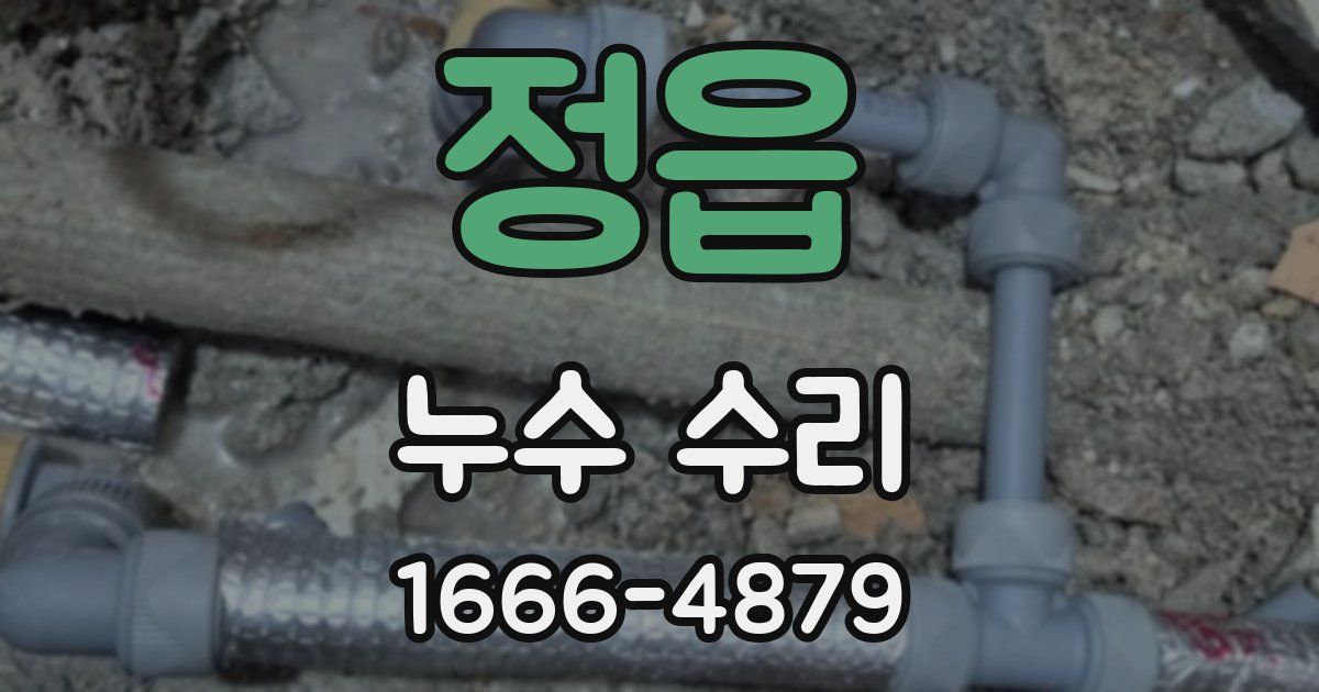 정읍 누수 수리