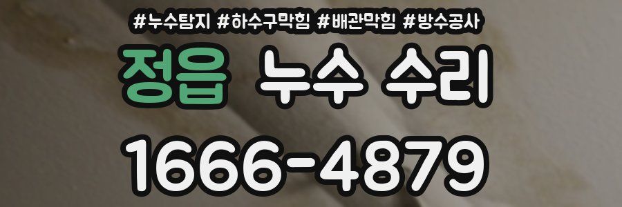 정읍 누수 수리