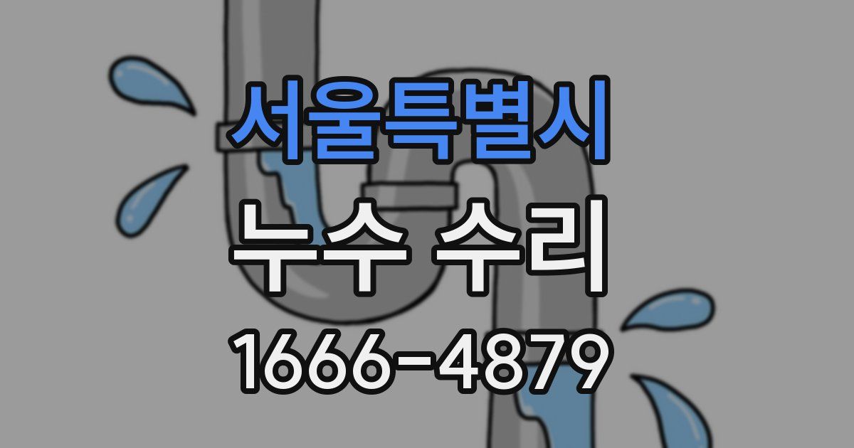 서울특별시 누수 수리