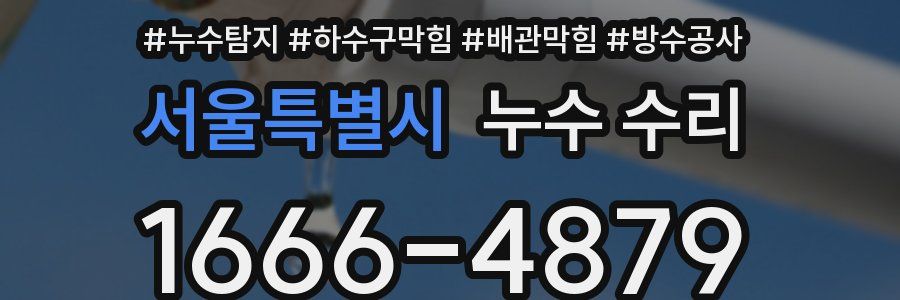 서울특별시 누수 수리