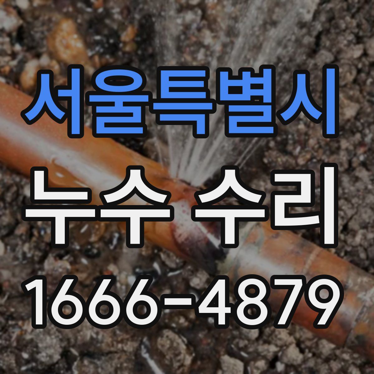 서울특별시 누수 수리