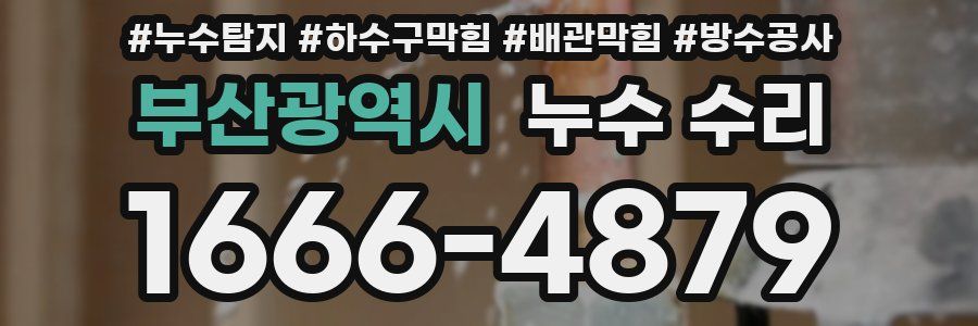 부산광역시 누수 수리