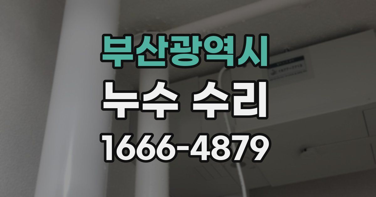 부산광역시 누수 수리
