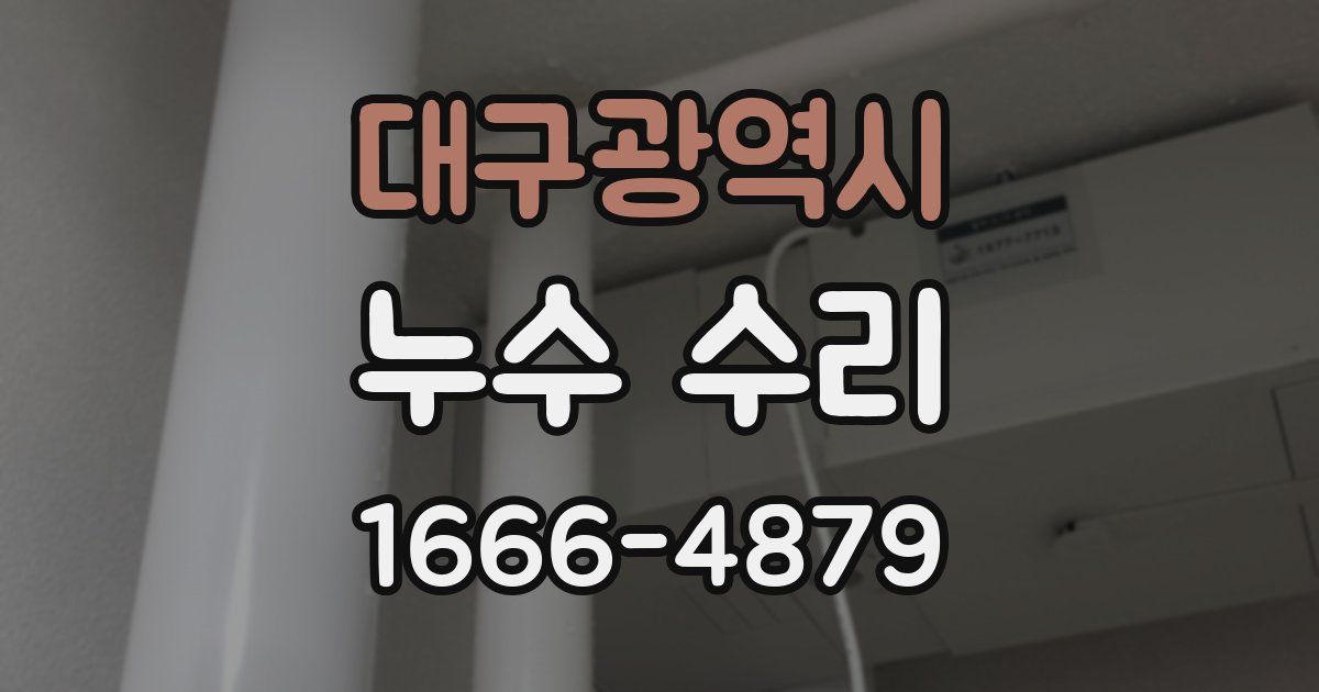 대구광역시 누수 수리