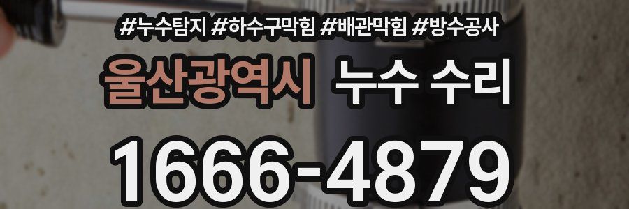 울산광역시 누수 수리