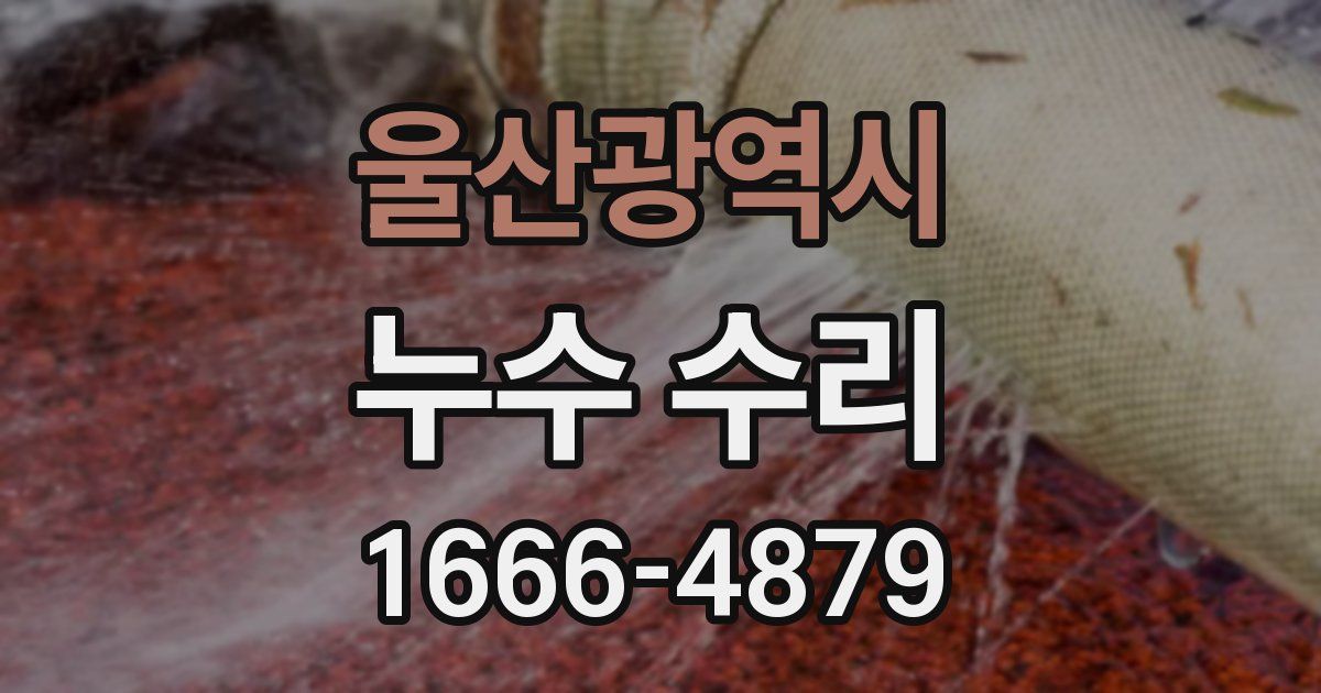 울산광역시 누수 수리