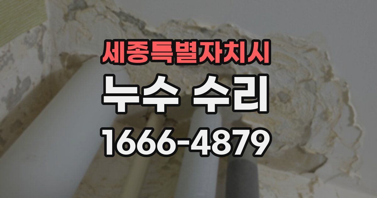 세종특별자치시 누수 수리