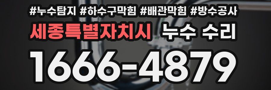 세종특별자치시 누수 수리