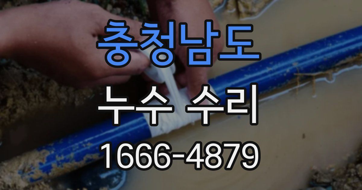 충청남도 누수 수리