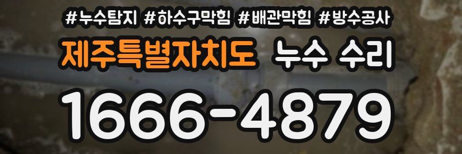 제주특별자치도 누수 수리