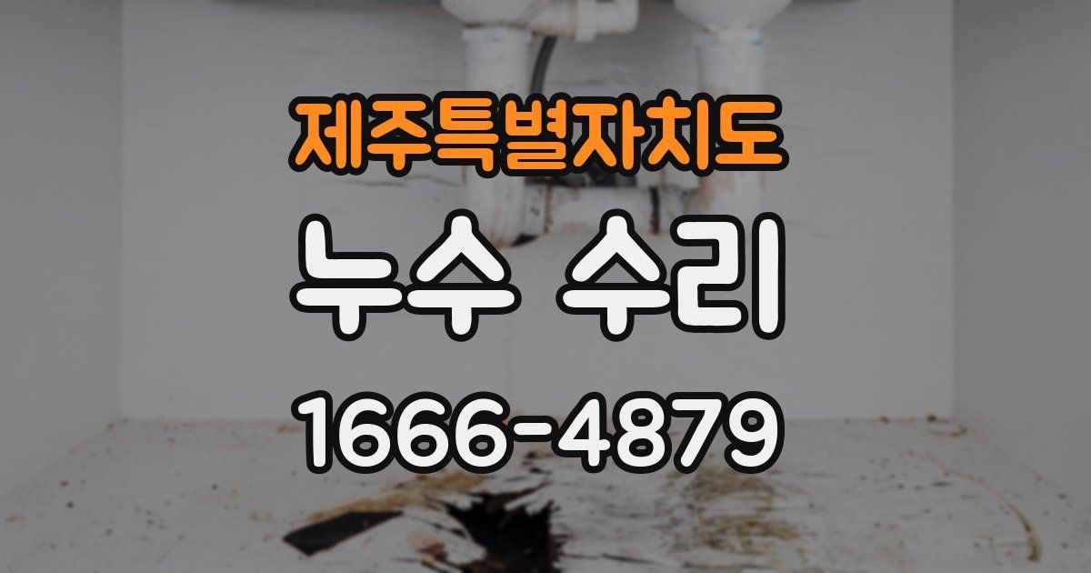 제주특별자치도 누수 수리