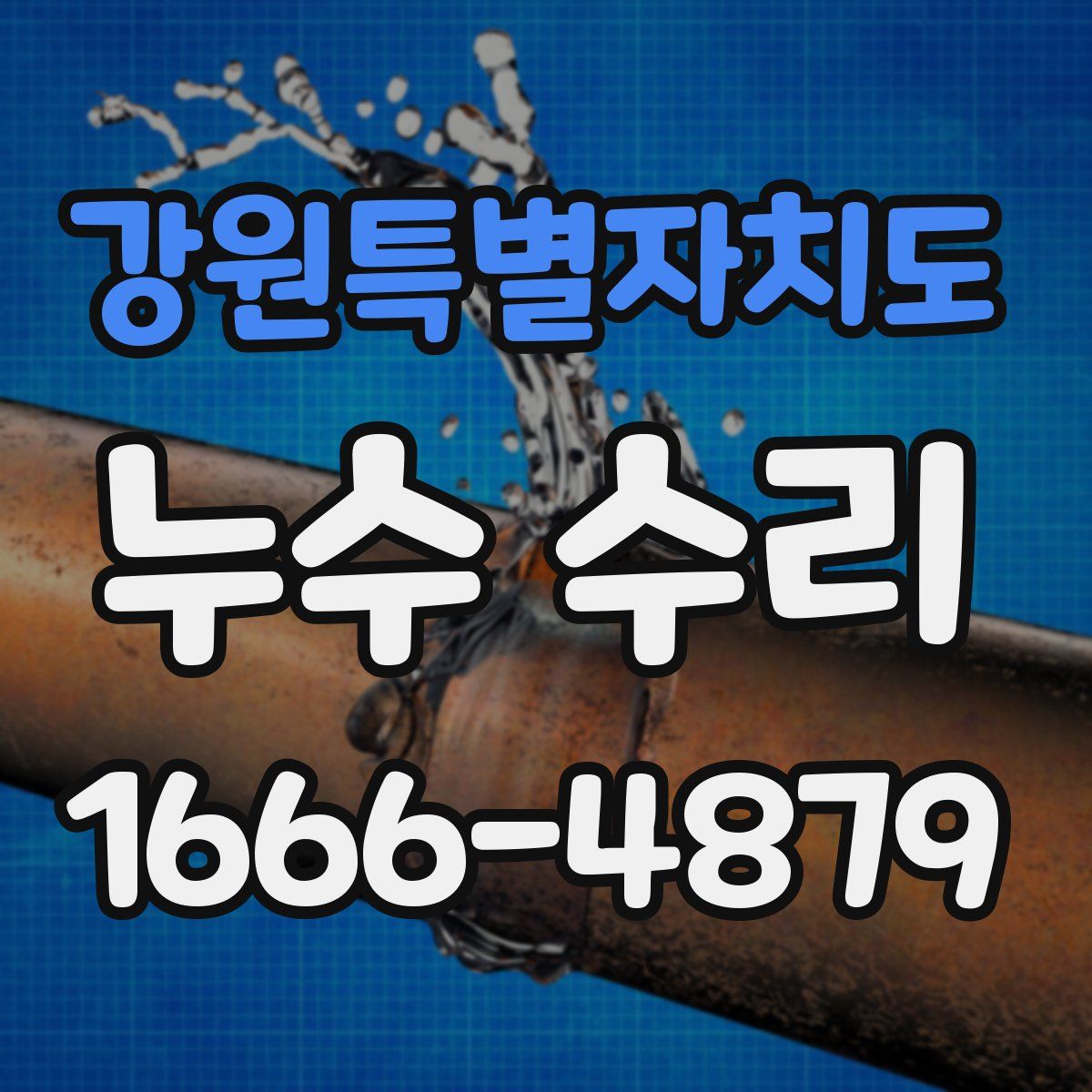강원특별자치도 누수 수리