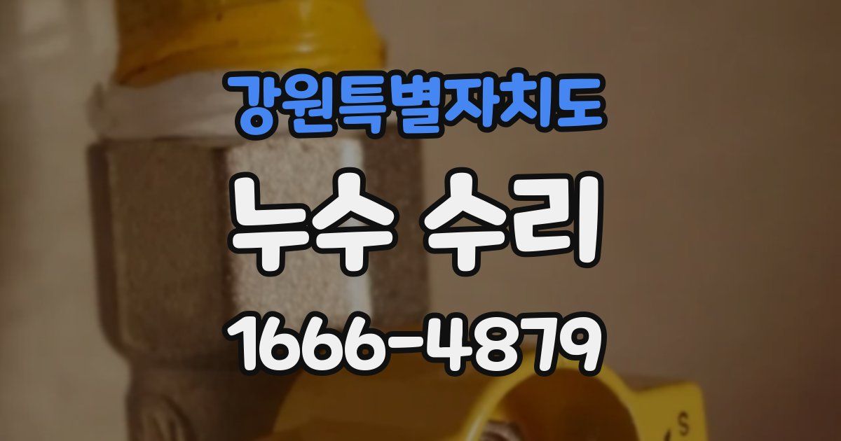 강원특별자치도 누수 수리