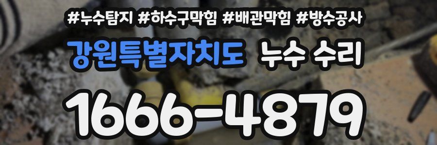 강원특별자치도 누수 수리