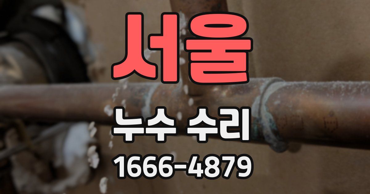 서울 누수 수리