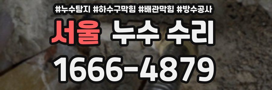 서울 누수 수리