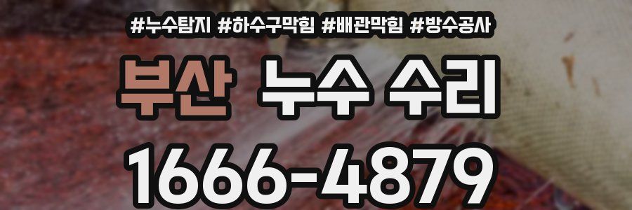 부산 누수 수리