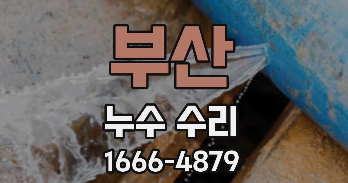 부산 누수 수리