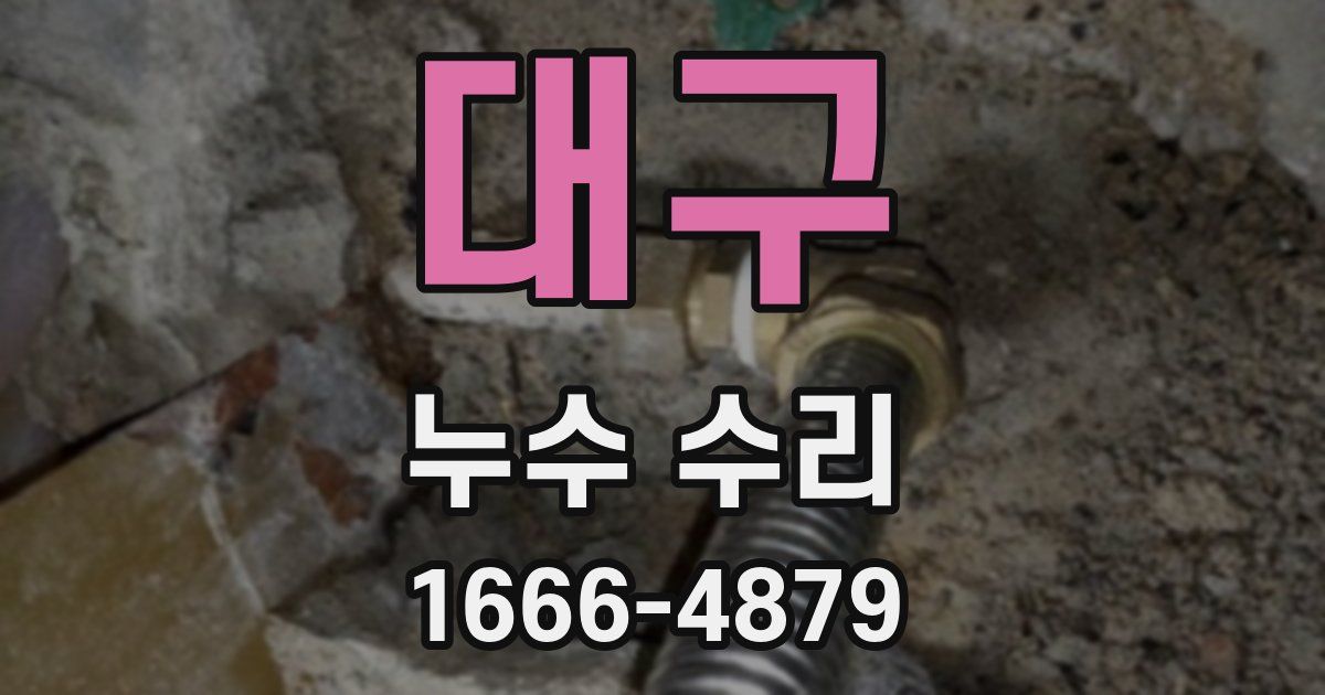 대구 누수 수리
