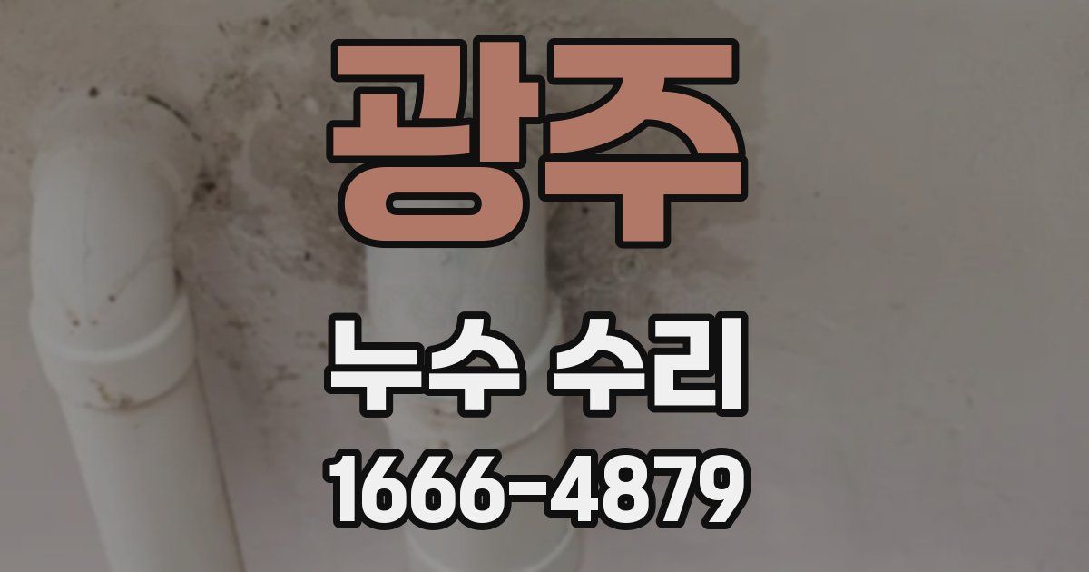 광주 누수 수리