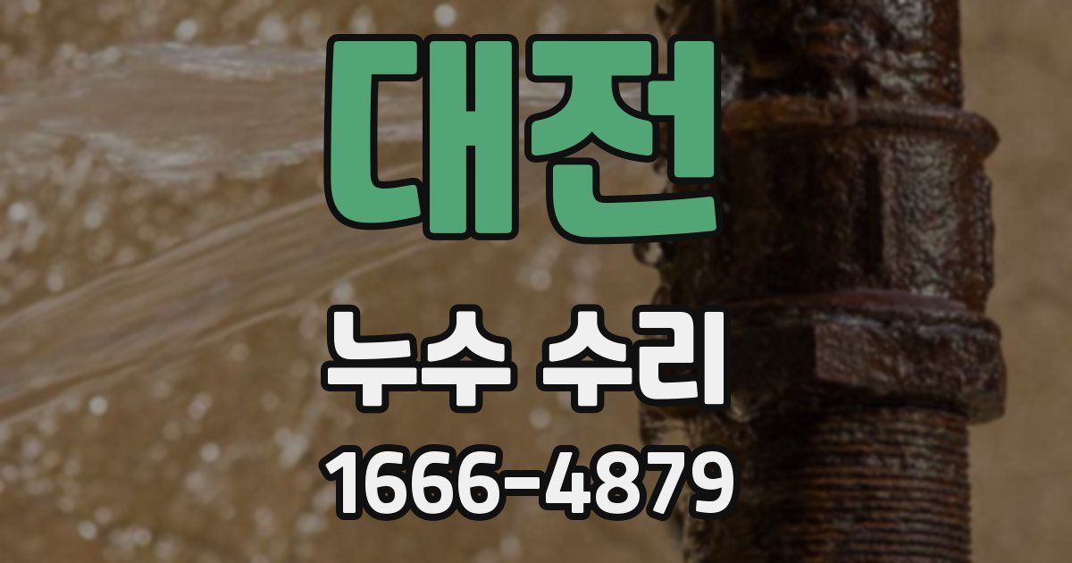 대전 누수 수리