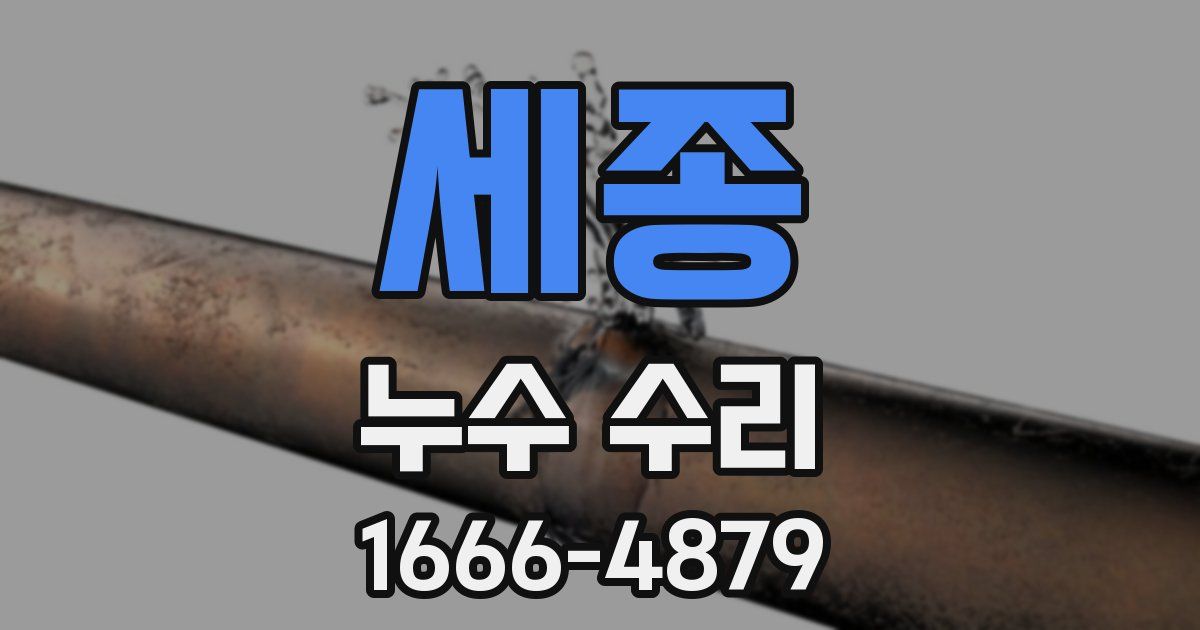 세종 누수 수리