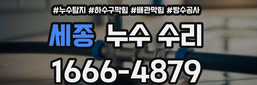 세종 누수 수리