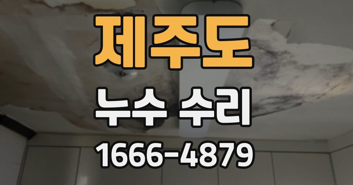 제주도 누수 수리