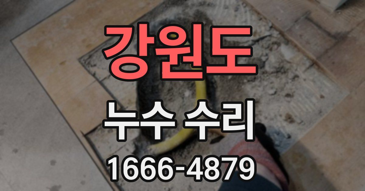 강원도 누수 수리