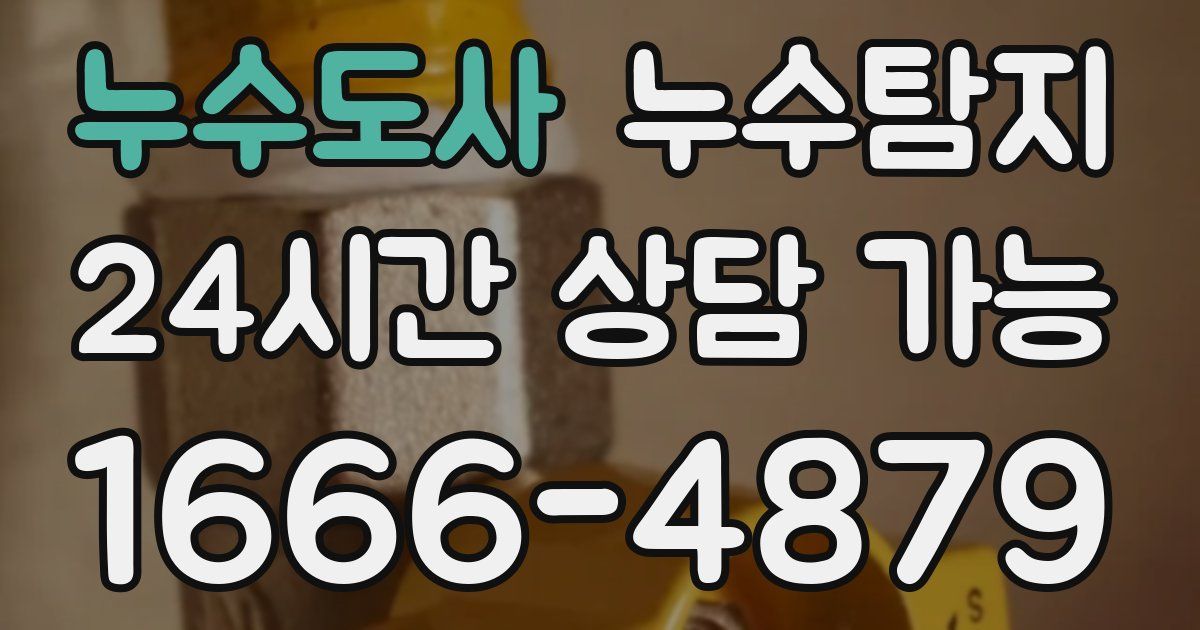 누수도사 누수탐지