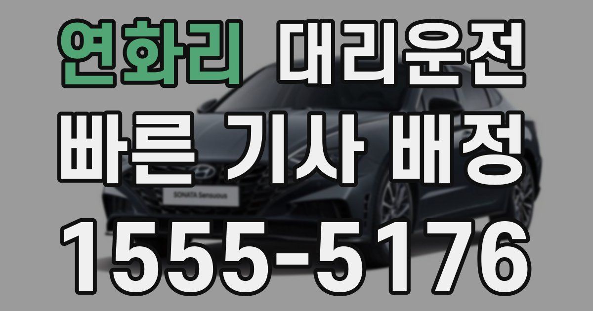 일일대리기사