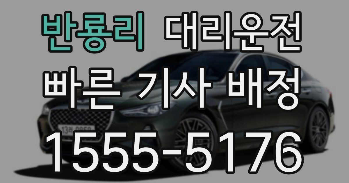 일일대리기사