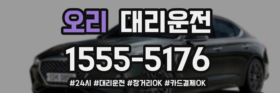 오리 대리운전