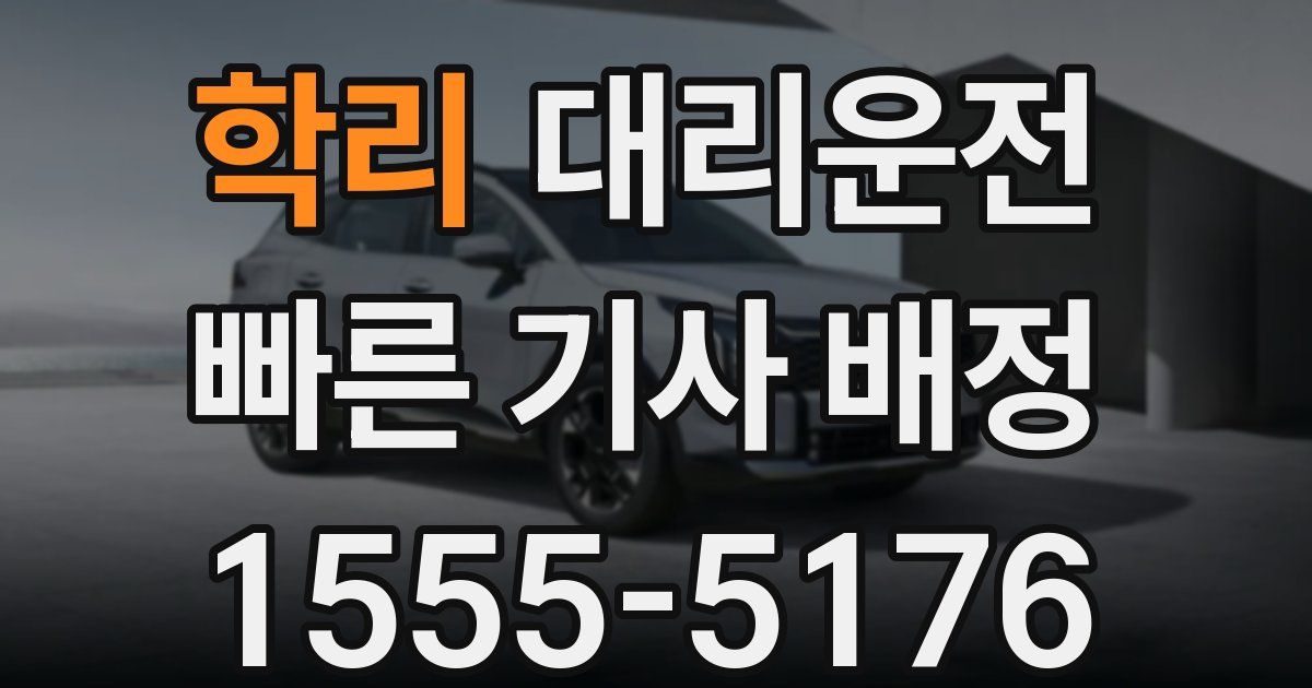 일일대리기사